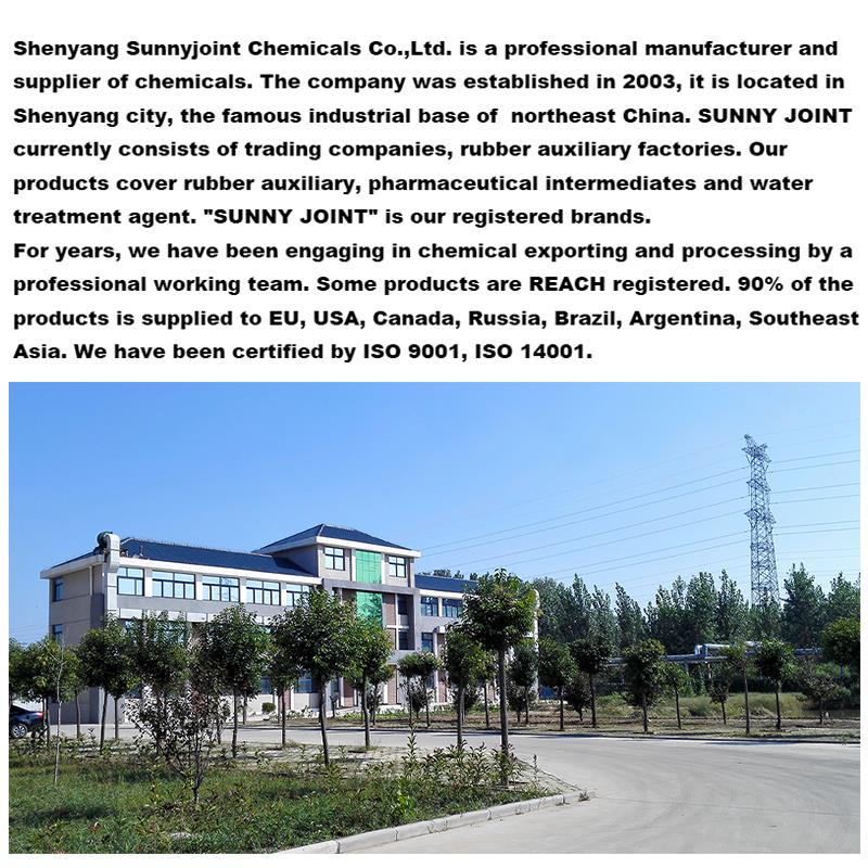 our company.jpg