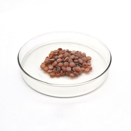 Rubber Antioxidant TDQ